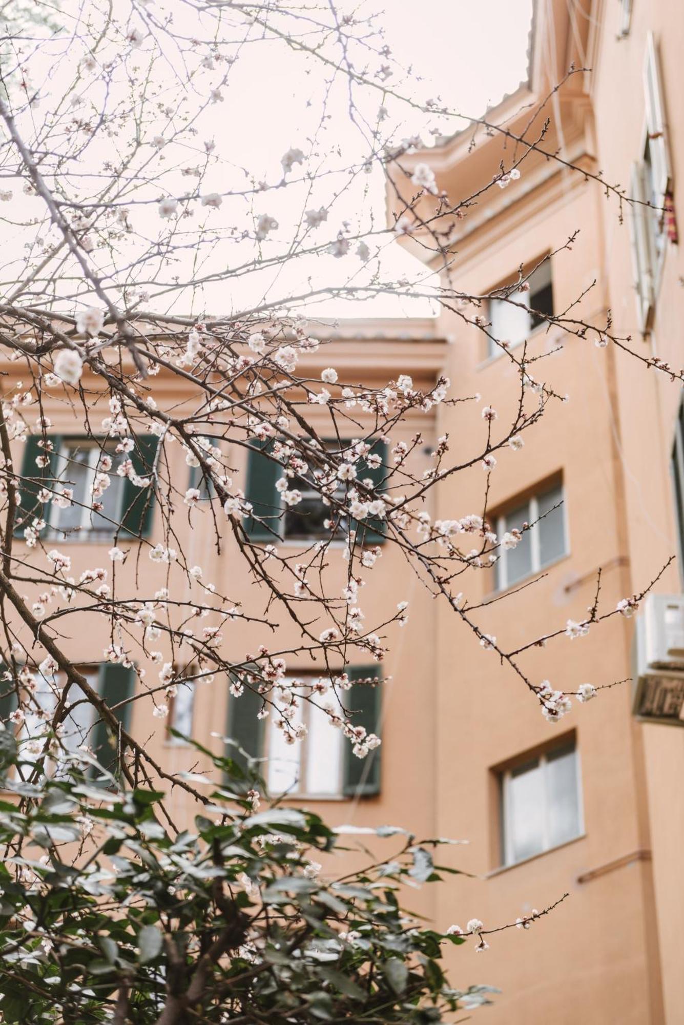 Apartmán Casa Riva 1920 Řím Exteriér fotografie